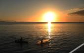 Туры в отель Destino Beach Club Dive Resort And Hotel Туры в отель Destino Beach Club Dive Resort And Hotel