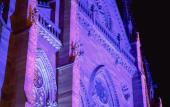 Туры в отель La Maison Hotel Mulhouse Туры в отель La Maison Hotel Mulhouse