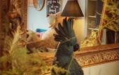 Туры в отель La Maison Hotel Mulhouse Туры в отель La Maison Hotel Mulhouse