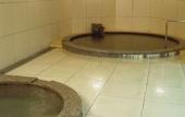 Туры в отель Hotel Hewitt Koshien Туры в отель Hotel Hewitt Koshien
