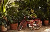 Туры в отель Freehand Miami Туры в отель Freehand Miami