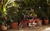 Туры в отель Freehand Miami Туры в отель Freehand Miami