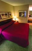 Туры в отель University Place Hotel & Conference Center Туры в отель University Place Hotel & Conference Center