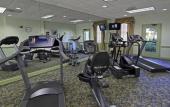 Туры в отель Best Western Cocoa Beach - Port Canaveral Туры в отель Best Western Cocoa Beach - Port Canaveral