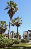 Туры в отель Best Western Cocoa Beach - Port Canaveral Туры в отель Best Western Cocoa Beach - Port Canaveral