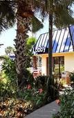 Туры в отель Best Western Cocoa Beach - Port Canaveral Туры в отель Best Western Cocoa Beach - Port Canaveral