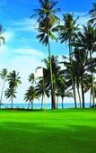 Туры в отель HOMM Laguna Bintan Туры в отель HOMM Laguna Bintan