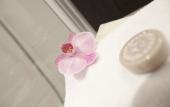 Туры в отель ResidHotel Seven Urban Suites Nantes Centre Туры в отель ResidHotel Seven Urban Suites Nantes Centre