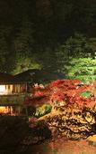 Туры в отель Daiwa Roynet Hotel Takamatsu Туры в отель Daiwa Roynet Hotel Takamatsu