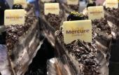 Туры в отель MERCURE XI`AN NORTH Туры в отель MERCURE XI`AN NORTH