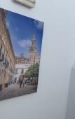 Туры в отель Hostal Alcobia Туры в отель Hostal Alcobia