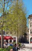 Туры в отель Novotel Saint-Etienne Centre Gare Chateaucreux Туры в отель Novotel Saint-Etienne Centre Gare Chateaucreux