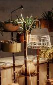 Туры в отель Pollicastro Boutique Hotel Туры в отель Pollicastro Boutique Hotel