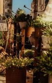 Туры в отель Pollicastro Boutique Hotel Туры в отель Pollicastro Boutique Hotel