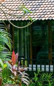 Туры в отель ONAYA Bali Resort Туры в отель ONAYA Bali Resort
