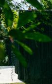 Туры в отель ONAYA Bali Resort Туры в отель ONAYA Bali Resort