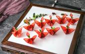 Туры в отель DoubleTree by Hilton Baoding Туры в отель DoubleTree by Hilton Baoding