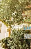 Туры в отель Sole Miami, A Noble House Resort Туры в отель Sole Miami, A Noble House Resort