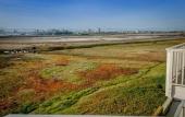 Туры в отель Inn at Playa del Rey Туры в отель Inn at Playa del Rey