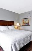 Туры в отель Hilton Garden Inn Tampa/Riverview/Brandon Туры в отель Hilton Garden Inn Tampa/Riverview/Brandon