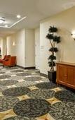 Туры в отель Hilton Garden Inn Tampa/Riverview/Brandon Туры в отель Hilton Garden Inn Tampa/Riverview/Brandon
