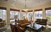Туры в отель Hilton Garden Inn Tampa/Riverview/Brandon Туры в отель Hilton Garden Inn Tampa/Riverview/Brandon