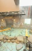 Туры в отель Dormy Inn Niigata Natural Hot Spring Туры в отель Dormy Inn Niigata Natural Hot Spring