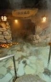 Туры в отель Dormy Inn Niigata Natural Hot Spring Туры в отель Dormy Inn Niigata Natural Hot Spring