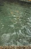 Туры в отель Dormy Inn Niigata Natural Hot Spring Туры в отель Dormy Inn Niigata Natural Hot Spring