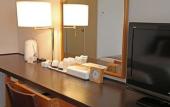 Туры в отель Hotel Nikko Himeji Туры в отель Hotel Nikko Himeji