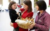 Туры в отель Novotel Belfort Centre Atria Туры в отель Novotel Belfort Centre Atria