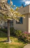 Туры в отель Coronation Lodge Туры в отель Coronation Lodge