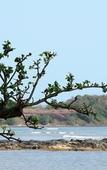 Туры в отель Plub Pla Koh Mak Retreat Туры в отель Plub Pla Koh Mak Retreat