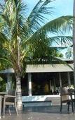Туры в отель Plub Pla Koh Mak Retreat Туры в отель Plub Pla Koh Mak Retreat
