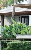 Туры в отель Plub Pla Koh Mak Retreat Туры в отель Plub Pla Koh Mak Retreat