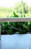 Туры в отель Plub Pla Koh Mak Retreat Туры в отель Plub Pla Koh Mak Retreat