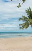 Туры в отель Princess Paradise Koh Phangan Туры в отель Princess Paradise Koh Phangan