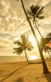 Туры в отель Princess Paradise Koh Phangan Туры в отель Princess Paradise Koh Phangan