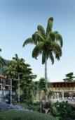 Туры в отель Princess Paradise Koh Phangan Туры в отель Princess Paradise Koh Phangan