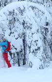 Туры в отель Hotel Metsahirvas Туры в отель Hotel Metsahirvas