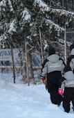 Туры в отель Hotel Metsahirvas Туры в отель Hotel Metsahirvas