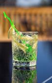 Туры в отель Hotel Metsahirvas Туры в отель Hotel Metsahirvas