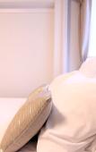 Туры в отель Rhodes Kagurazaka Hotel Туры в отель Rhodes Kagurazaka Hotel