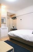 Туры в отель Rhodes Kagurazaka Hotel Туры в отель Rhodes Kagurazaka Hotel