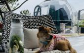 Туры в отель Hyatt Centric Lakeside Ningbo Туры в отель Hyatt Centric Lakeside Ningbo