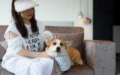 Туры в отель Hyatt Centric Lakeside Ningbo Туры в отель Hyatt Centric Lakeside Ningbo