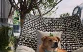 Туры в отель Hyatt Centric Lakeside Ningbo Туры в отель Hyatt Centric Lakeside Ningbo