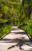 Туры в отель NAYARA Bocas del Toro Туры в отель NAYARA Bocas del Toro