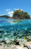 Туры в отель NAYARA Bocas del Toro Туры в отель NAYARA Bocas del Toro