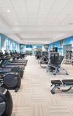Туры в отель Margaritaville Beach Resort Fort Myers Туры в отель Margaritaville Beach Resort Fort Myers